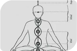 A peek into Integral Yoga with Manoj Pavithran