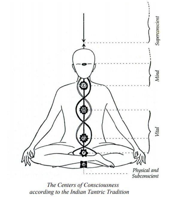 Illustration depicting Center of Consciousness according to Tantric Tradition.